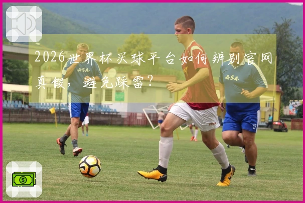 2026世界杯买球平台如何辨别官网真假，避免踩雷？