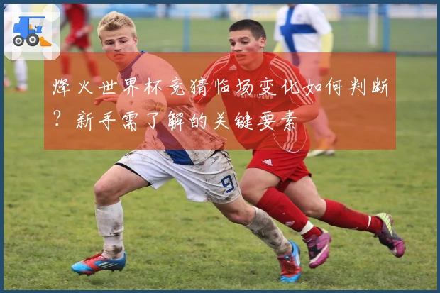烽火世界杯竞猜临场变化如何判断？新手需了解的关键要素