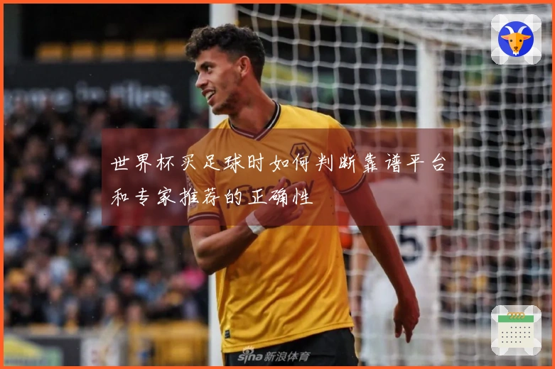 世界杯买足球时如何判断靠谱平台和专家推荐的正确性