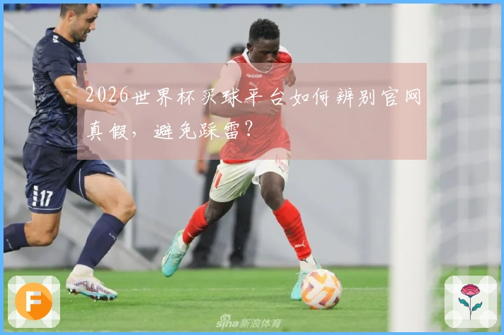 2026世界杯买球平台如何辨别官网真假，避免踩雷？