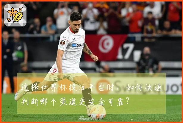 选择世界杯投注平台时，如何快速判断哪个渠道更安全可靠？