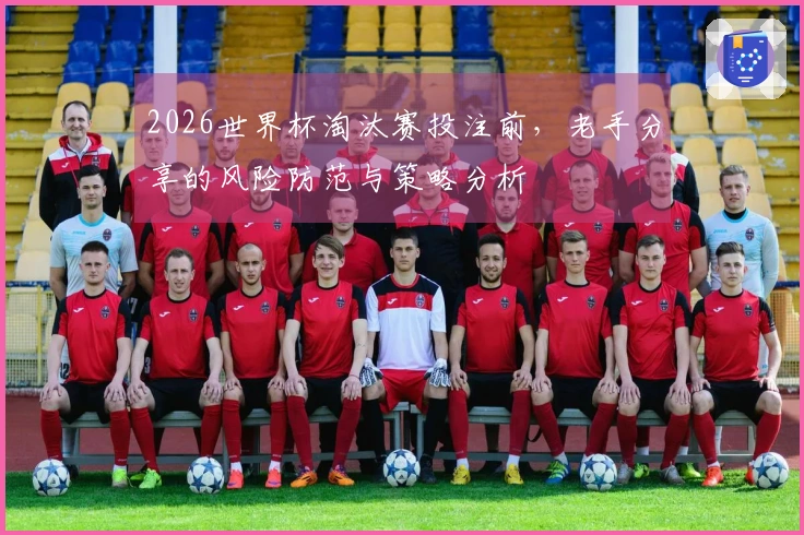2026世界杯淘汰赛投注前，老手分享的风险防范与策略分析