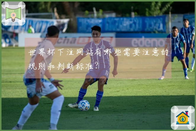 世界杯下注网站有哪些需要注意的规则和判断标准？