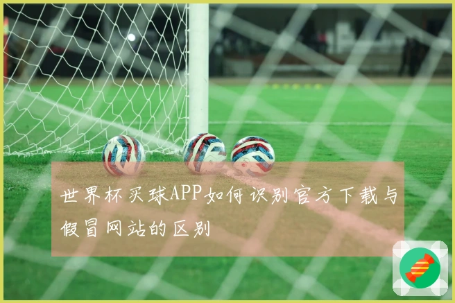 世界杯买球APP如何识别官方下载与假冒网站的区别