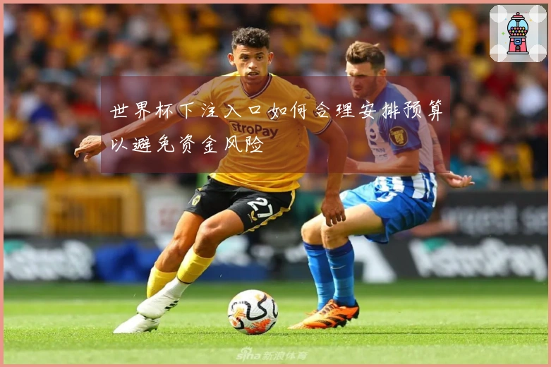 世界杯下注入口如何合理安排预算以避免资金风险