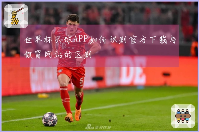 世界杯买球APP如何识别官方下载与假冒网站的区别