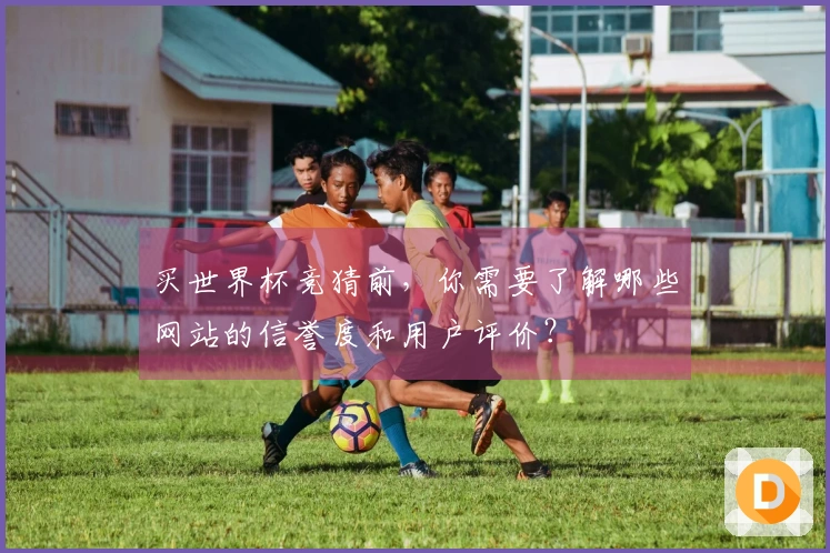 买世界杯竞猜前，你需要了解哪些网站的信誉度和用户评价？
