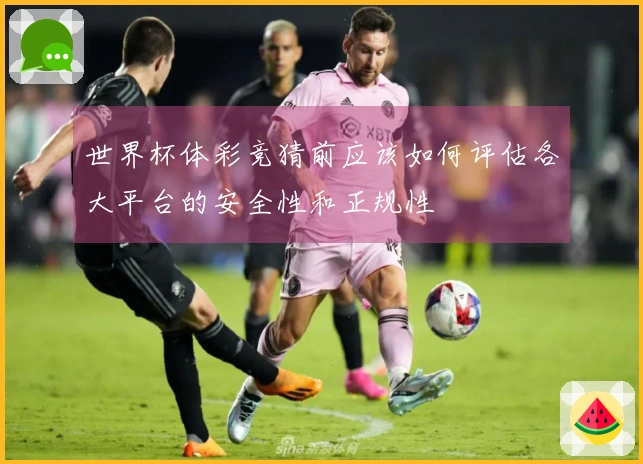 世界杯体彩竞猜前应该如何评估各大平台的安全性和正规性