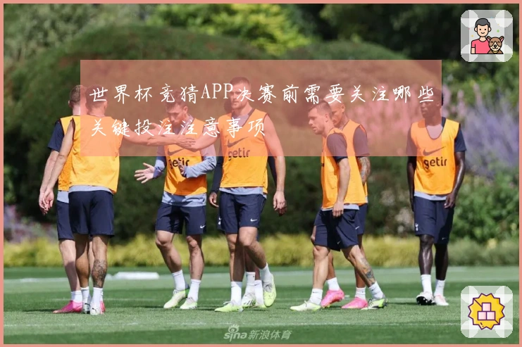 世界杯竞猜APP决赛前需要关注哪些关键投注注意事项
