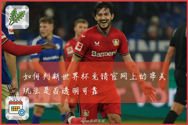 如何判断世界杯竞猜官网上的串关玩法是否透明可靠