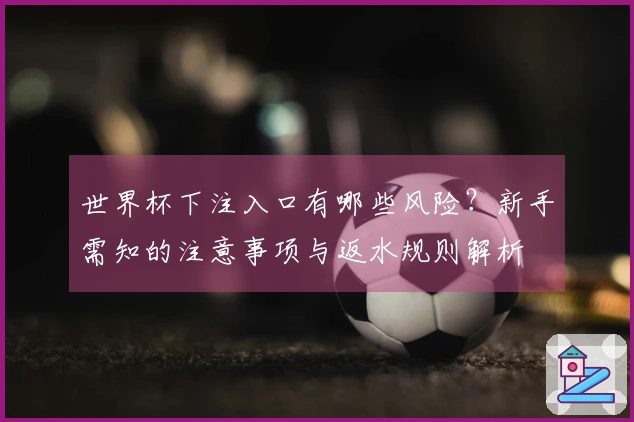 世界杯下注入口有哪些风险？新手需知的注意事项与返水规则解析
