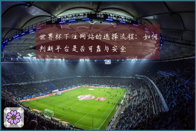 世界杯下注网站的选择流程：如何判断平台是否可靠与安全