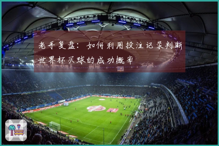 老手复盘：如何利用投注记录判断世界杯买球的成功概率