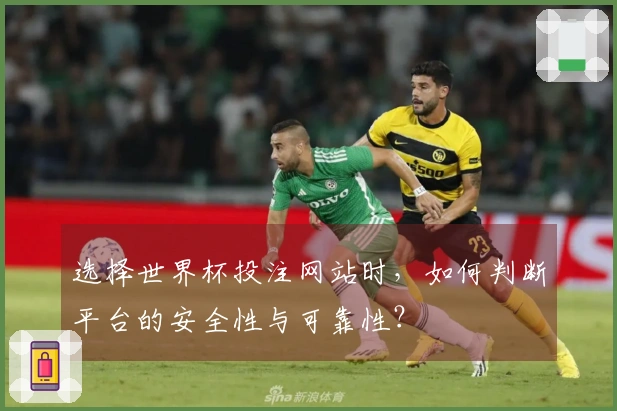 选择世界杯投注网站时，如何判断平台的安全性与可靠性？