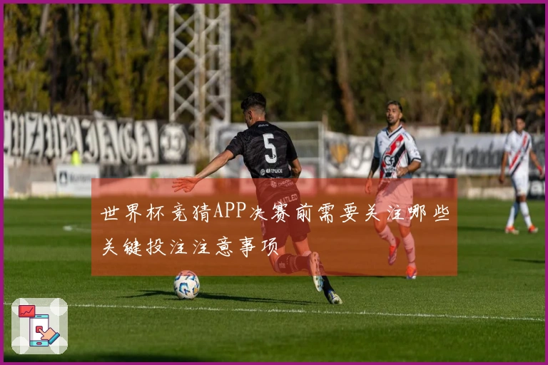 世界杯竞猜APP决赛前需要关注哪些关键投注注意事项