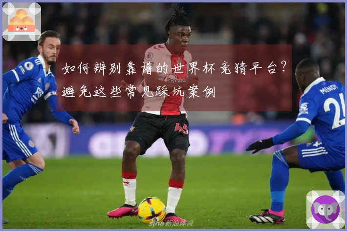 如何辨别靠谱的世界杯竞猜平台？避免这些常见踩坑案例