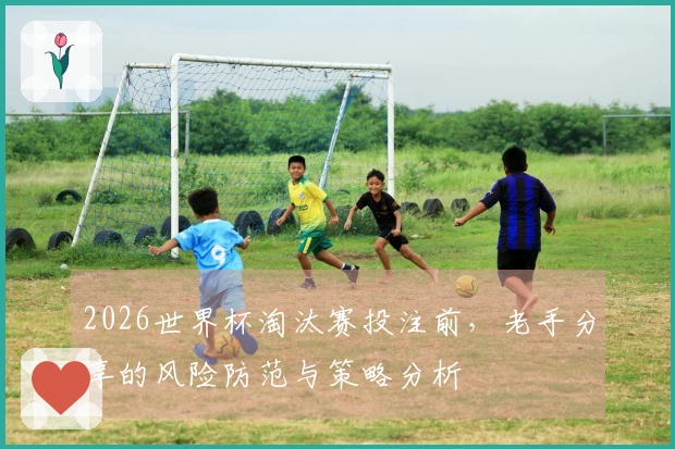 2026世界杯淘汰赛投注前，老手分享的风险防范与策略分析