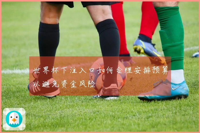 世界杯下注入口如何合理安排预算以避免资金风险