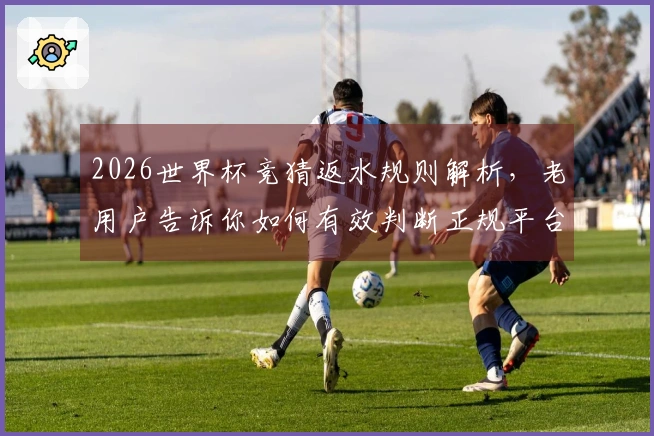 2026世界杯竞猜返水规则解析，老用户告诉你如何有效判断正规平台