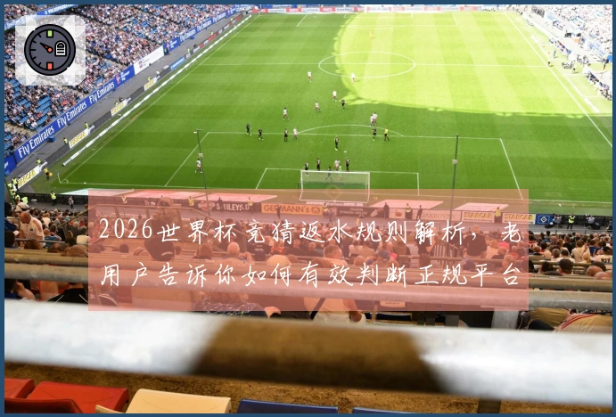 2026世界杯竞猜返水规则解析，老用户告诉你如何有效判断正规平台