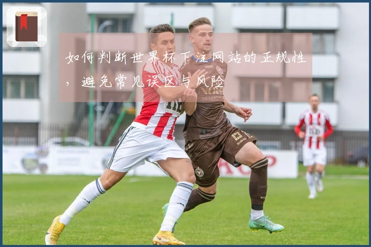 如何判断世界杯下注网站的正规性，避免常见误区与风险