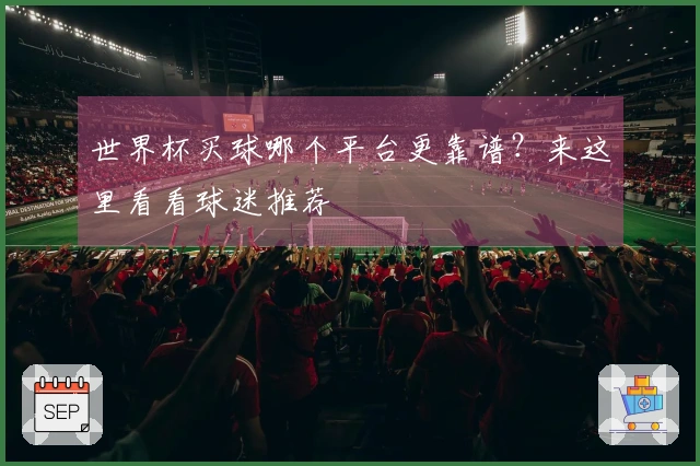 世界杯买球哪个平台更靠谱？来这里看看球迷推荐