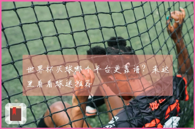 世界杯买球哪个平台更靠谱？来这里看看球迷推荐