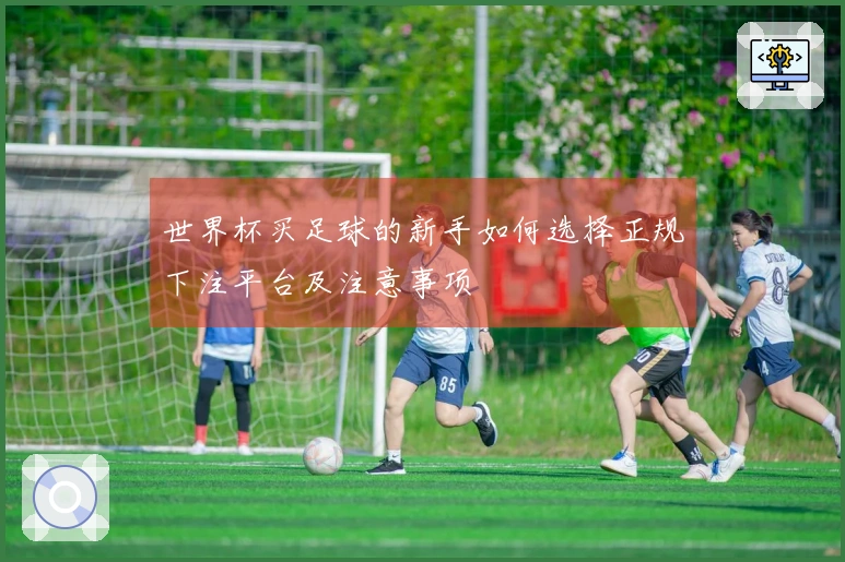 世界杯买足球的新手如何选择正规下注平台及注意事项
