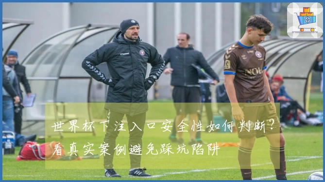 世界杯下注入口安全性如何判断？看真实案例避免踩坑陷阱