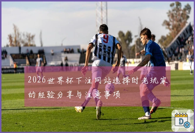 2026世界杯下注网站选择时老玩家的经验分享与注意事项