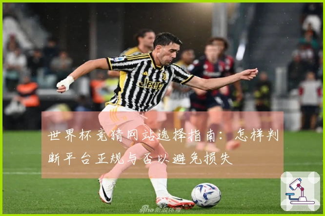 世界杯竞猜网站选择指南：怎样判断平台正规与否以避免损失