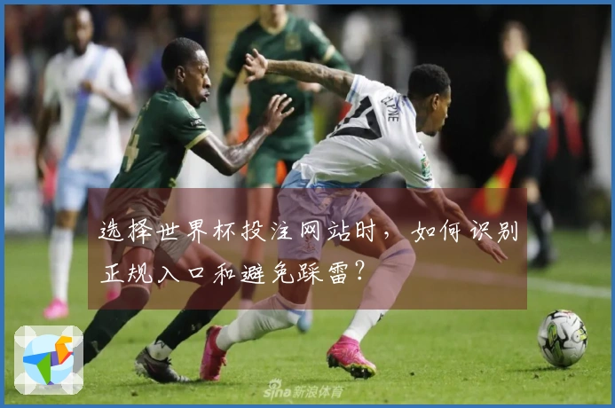 选择世界杯投注网站时，如何识别正规入口和避免踩雷？